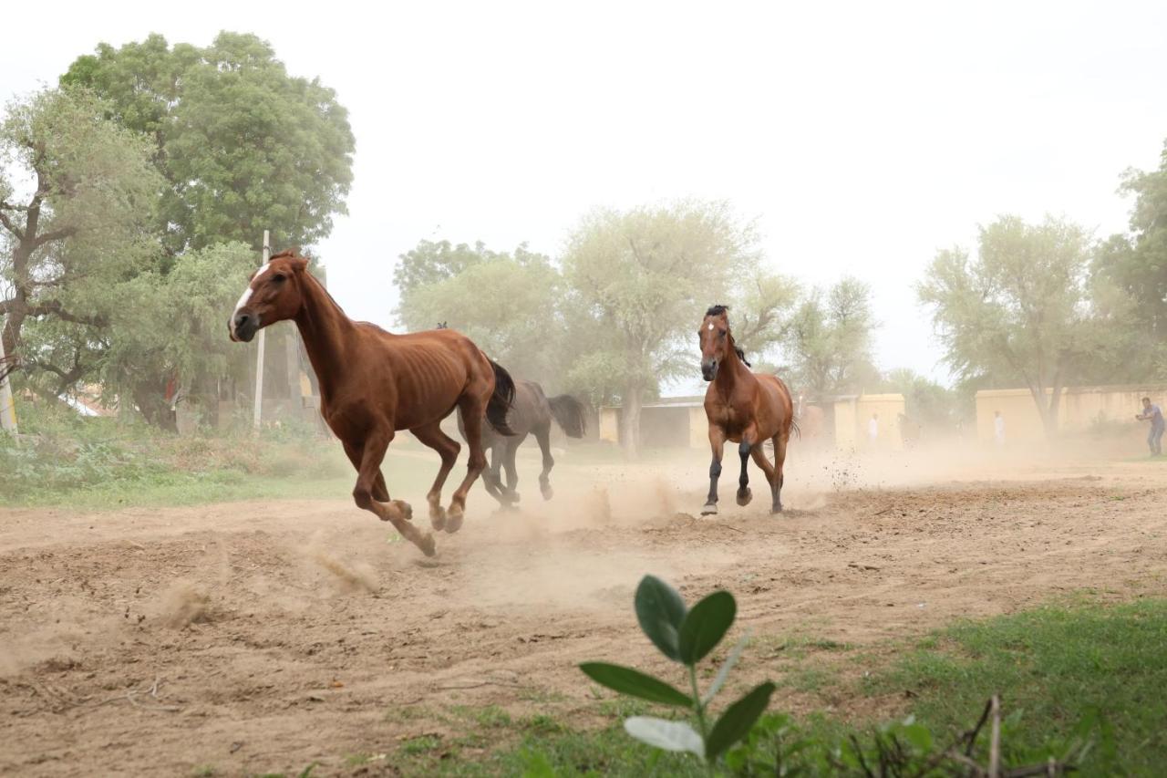 Roop Niwas Kothi, Near Mandawa Otel Nawalgarh Dış mekan fotoğraf